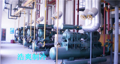 天津防爆型冷庫工程中的網(wǎng)絡(luò)系統(tǒng) 設(shè)計(jì)與安裝要點(diǎn)解析